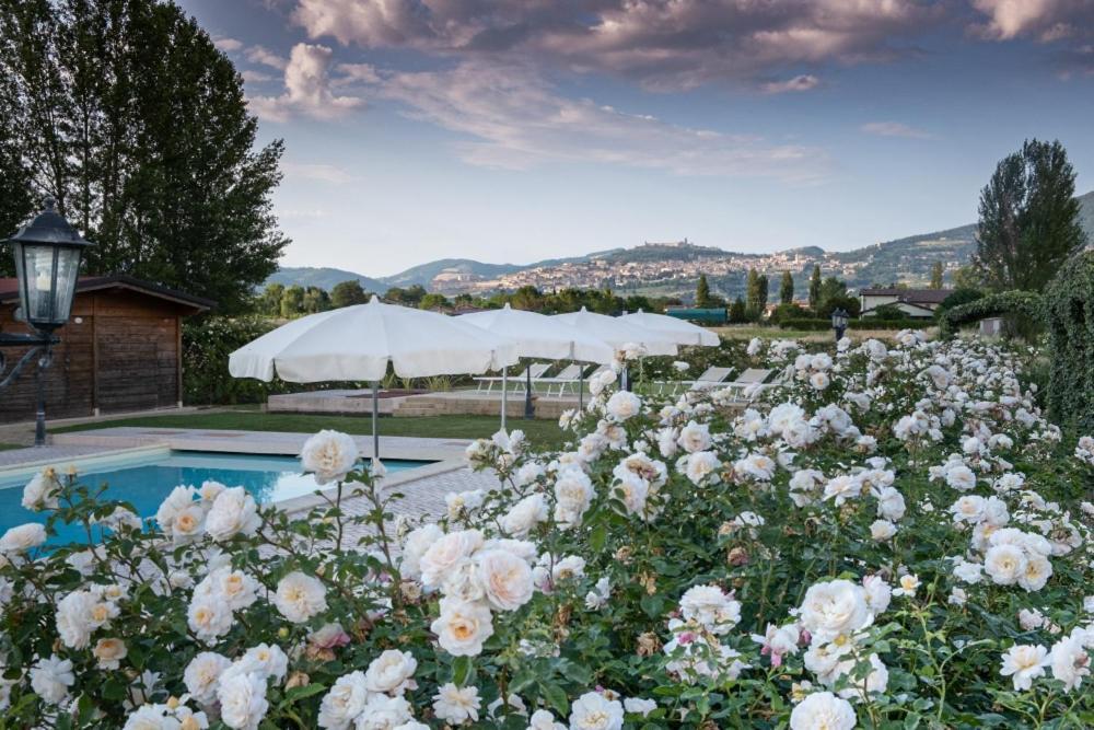 Villa Il Fienile Di Assisi Exterior foto