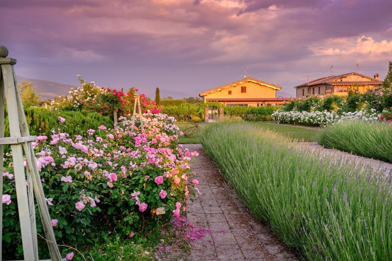 Villa Il Fienile Di Assisi Exterior foto