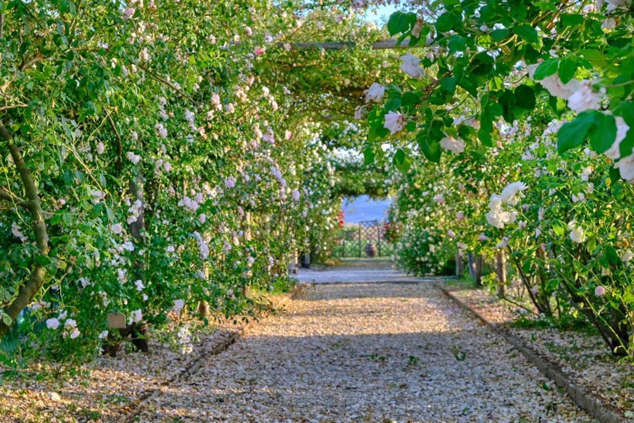 Villa Il Fienile Di Assisi Exterior foto