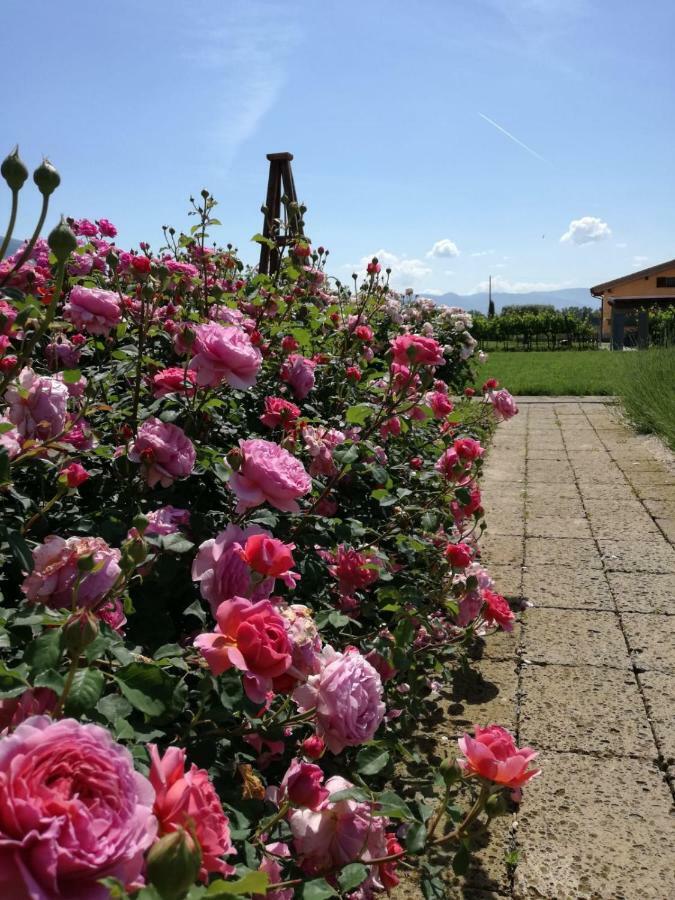 Villa Il Fienile Di Assisi Exterior foto